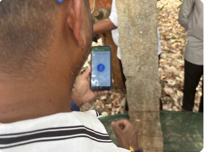 Scanning an RFID tag with a mobile phone beside a tree